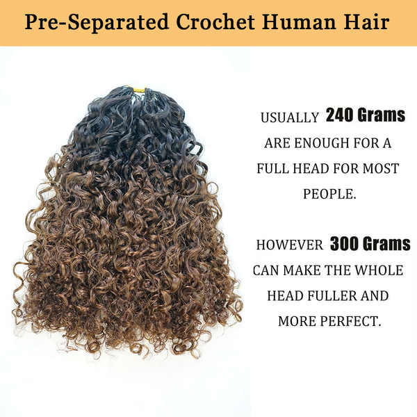 Miracle Knots Hair Burmese Curly 1b4 Ombre Color Feather Crochet Human Hair Extensions 100% Virgin Human Hair
