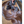 Load image into Gallery viewer, Ombre 1B4 Straight Hair Extensions [MLDB202]
