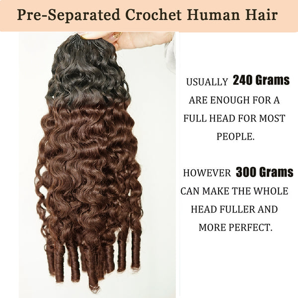 Ombre 1b/4 Color Afro Kinky Burmese Curly Crochet Human Hair Knotless Pre-Separated Crochet Feather Hair Extensions For Woman