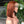 Load image into Gallery viewer, Malindahair Redish Brown Straight Bob 13x6 Lace Frontal Wig 150% Density [MLD43]
